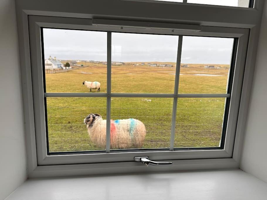 Modern Refurbished Church Nr Butt Of Lewis Beaches Port of Ness Exterior foto